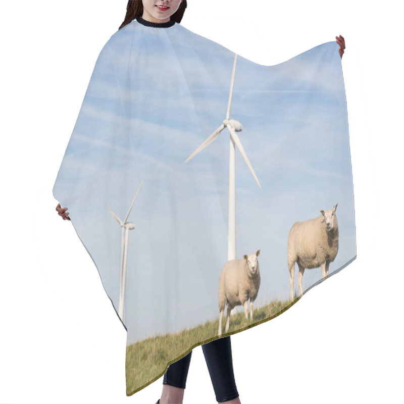 Personality  Windmill And Sheep In The Netherlands Hair Cutting Cape