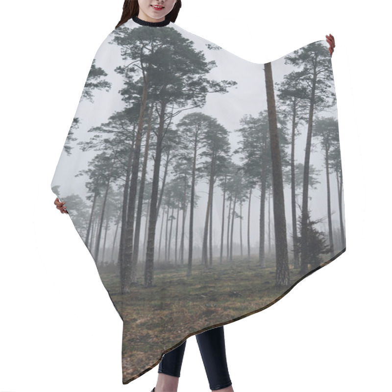 Personality  Landscape With Pine Tress Growing In A Forest During Foggy Day Hair Cutting Cape