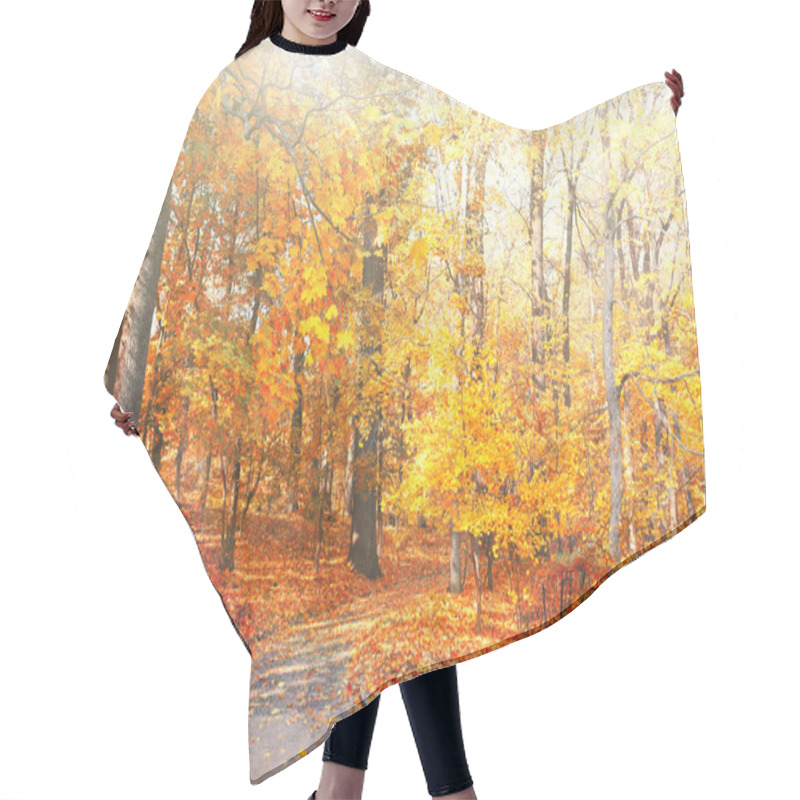 Personality  Autumn Trees With Sunlight In Park Hair Cutting Cape