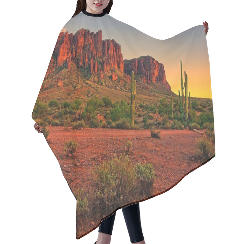 Personality  View Of The Arizona Desert With Saguaro Cacti And Mountains Hair Cutting Cape