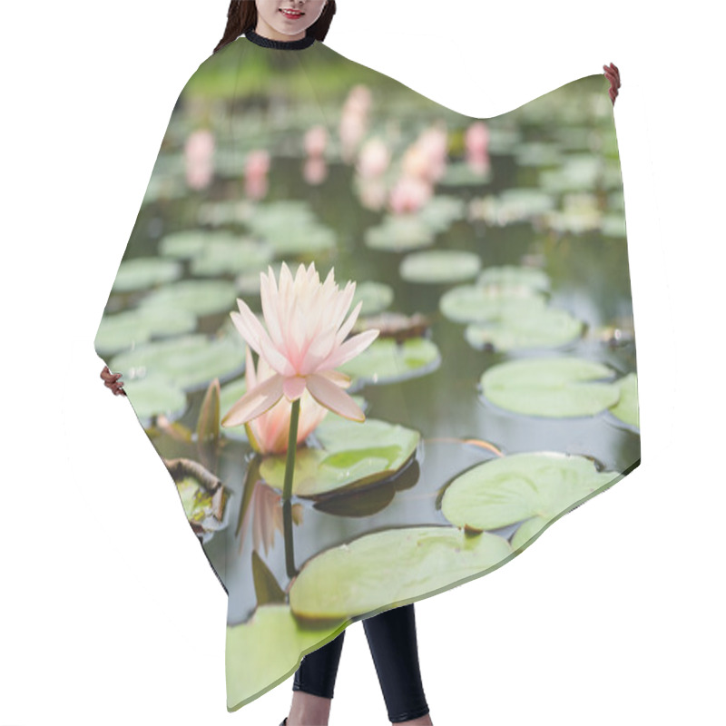 Personality  Water Lilies In River Water Hair Cutting Cape