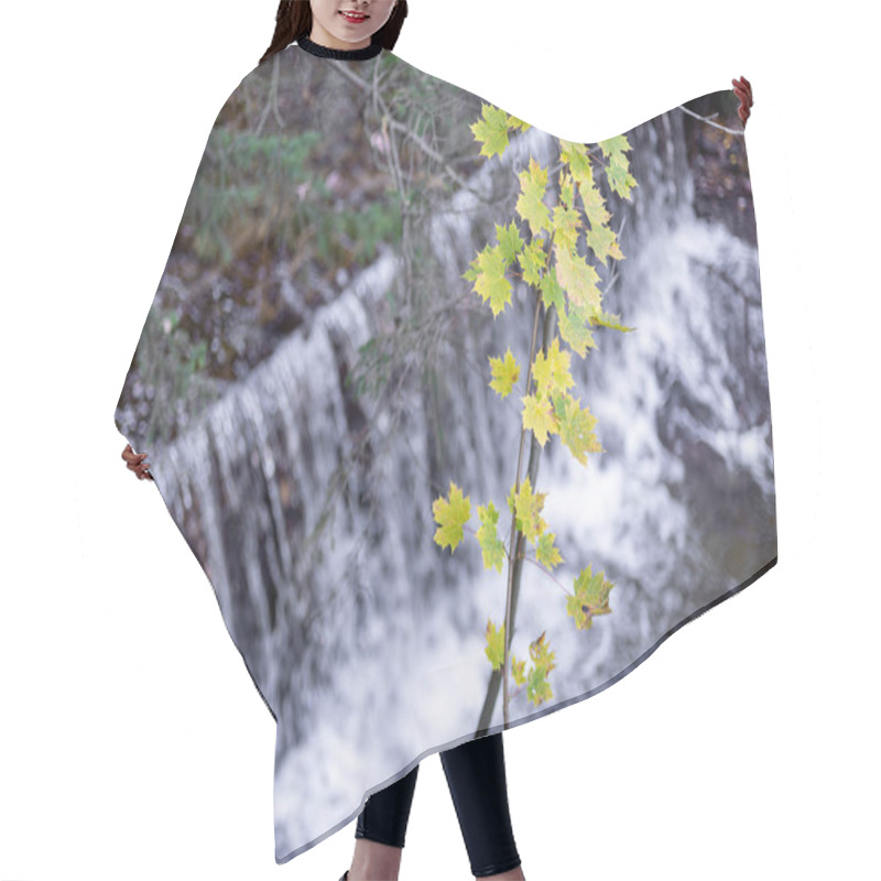 Personality  Maple Branch With Yellow Leaves Against The Background Of A Waterfall. High Quality Photo Hair Cutting Cape