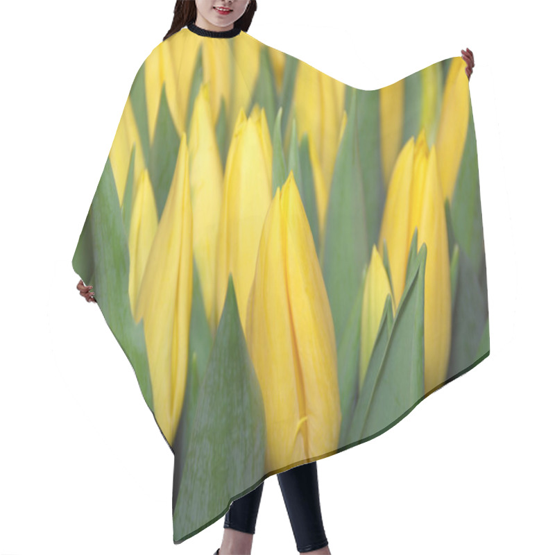 Personality  Bouquet Of Yellow Tulips Hair Cutting Cape