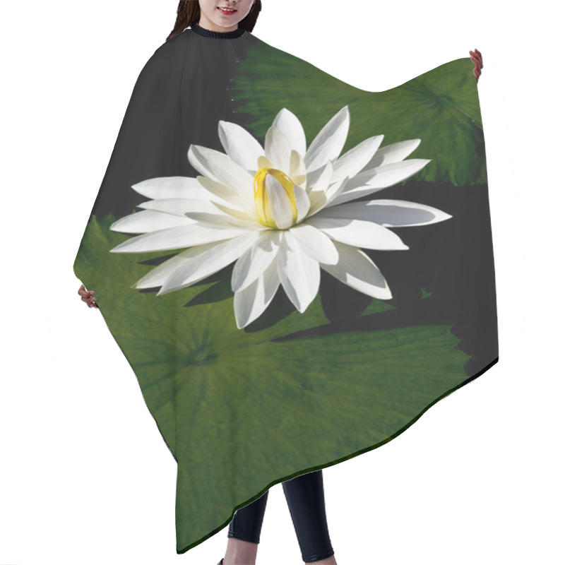 Personality  Lotus Hair Cutting Cape