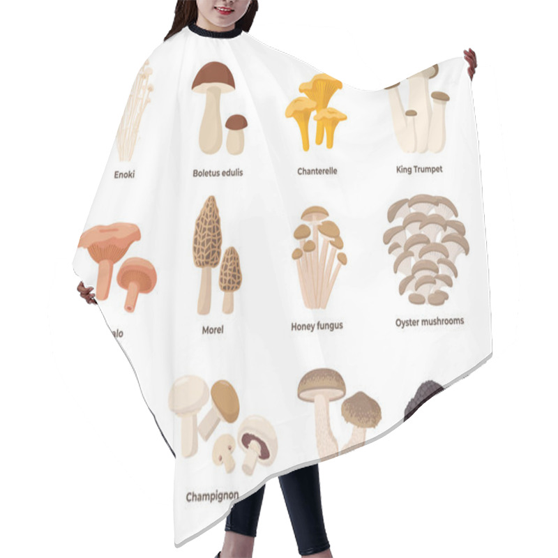 Personality  Large Mushroom Set Of Vector Illustrations In Flat Design Isolated On White. Cep, Chanterelle, Honey Agaric, Enoki, Morel, Oyster Mushrooms, King Oyster, Shimeji, Champignon, Shiitake, Black Truffle. Hair Cutting Cape