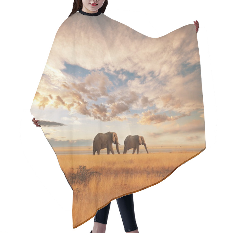 Personality  Elephant In Savannah Hair Cutting Cape