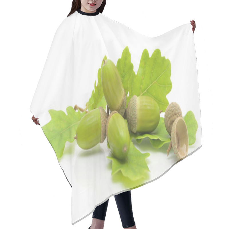 Personality  Green Acorns And Oak Leaves On A White Background Hair Cutting Cape