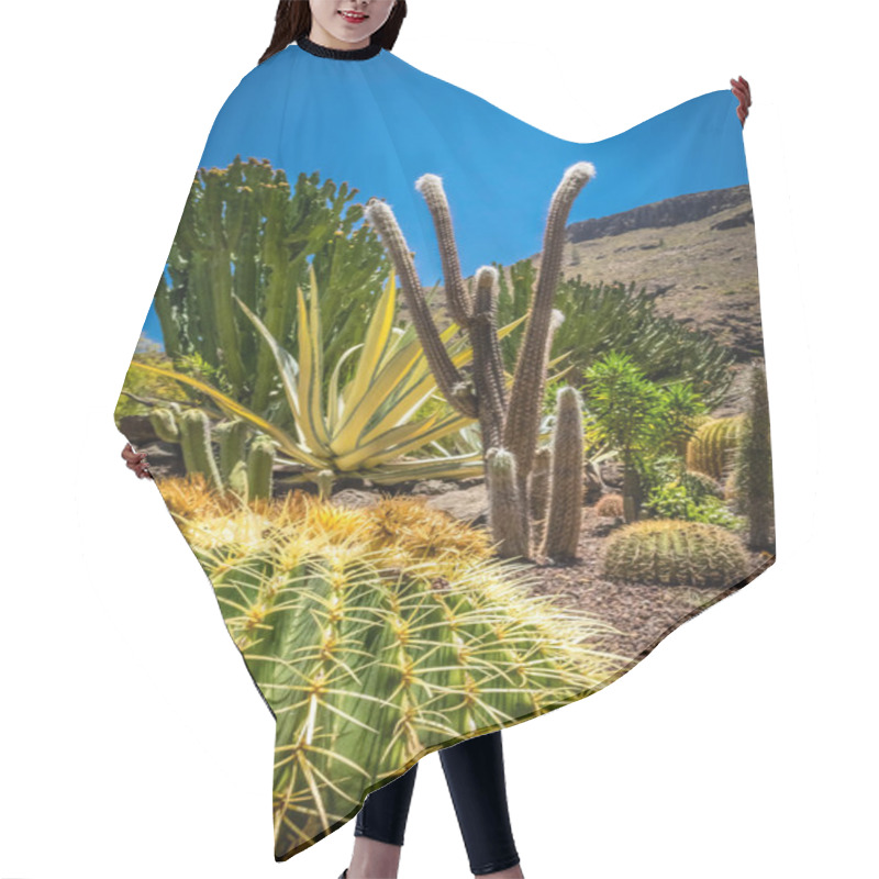 Personality  Cactus Park In Gran Canaria Hair Cutting Cape