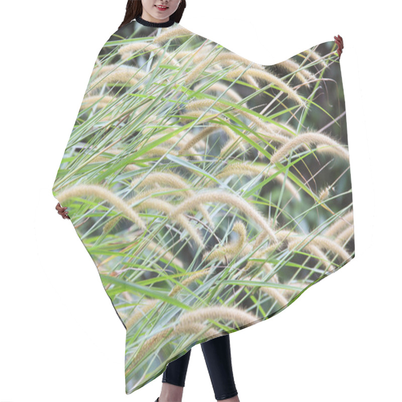 Personality  Background Of Green Reeds With Bulrushes Hair Cutting Cape