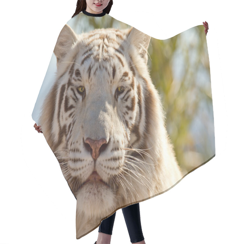 Personality  Majestic White Tiger Hair Cutting Cape