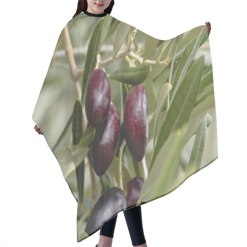 Personality  Olive Tree Fruits Close Up Hair Cutting Cape