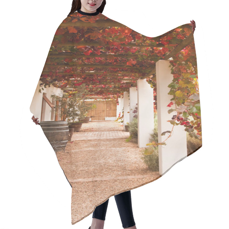 Personality  Veranda With Grape Leaves Hair Cutting Cape