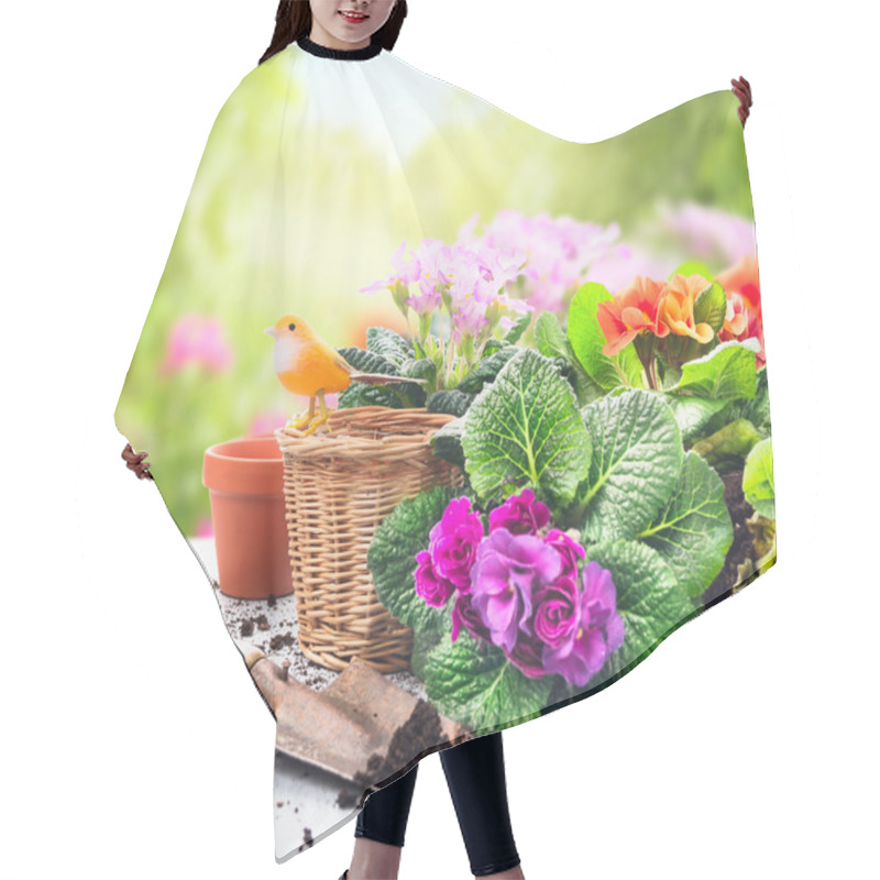 Personality  Gardening Set On Table With Flowers, Pots, Potting Soil And Plants On Sunny Garden Background Hair Cutting Cape