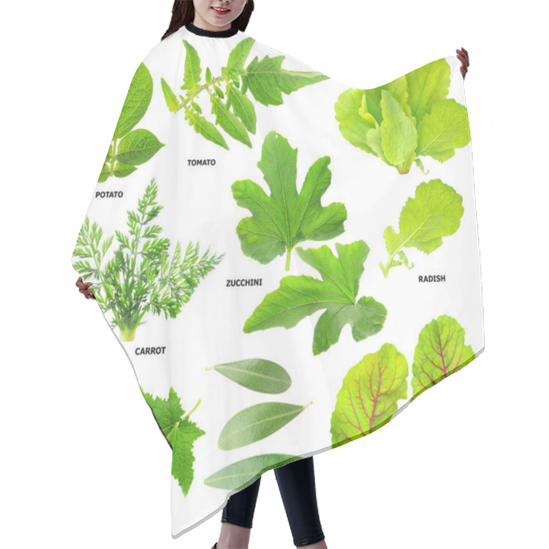 Personality  Leaves Of Vegetable Plants Hair Cutting Cape