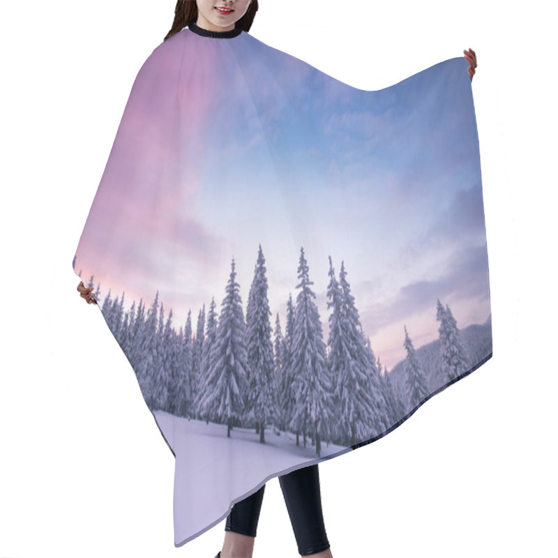 Personality  Dramatic Wintry Scene With Snowy Trees. Hair Cutting Cape