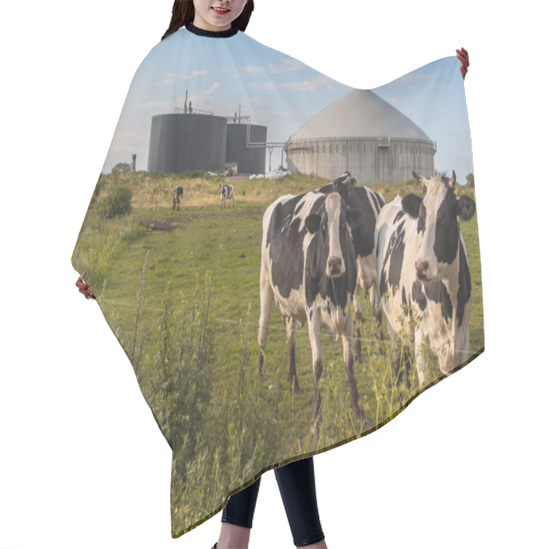 Personality  Biogas Plant With Cows Hair Cutting Cape