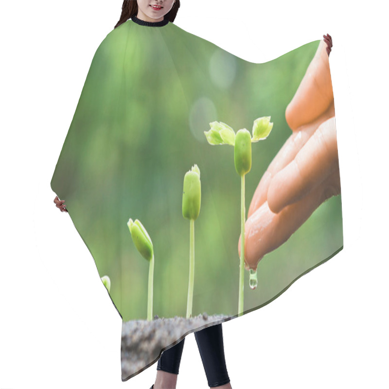 Personality  Hands Nurturing And Watering Young Plants Hair Cutting Cape