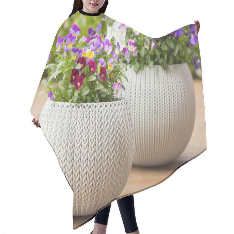 Personality  Beautiful Pansy Summer Flowers In Flowerpots In Garden Hair Cutting Cape