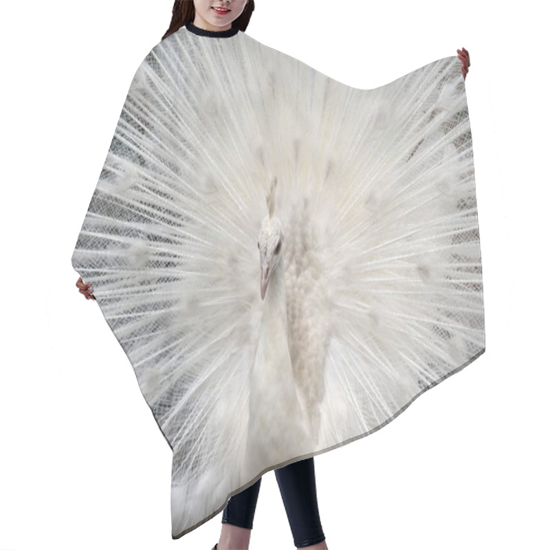 Personality  White Peacock Mating Display Hair Cutting Cape