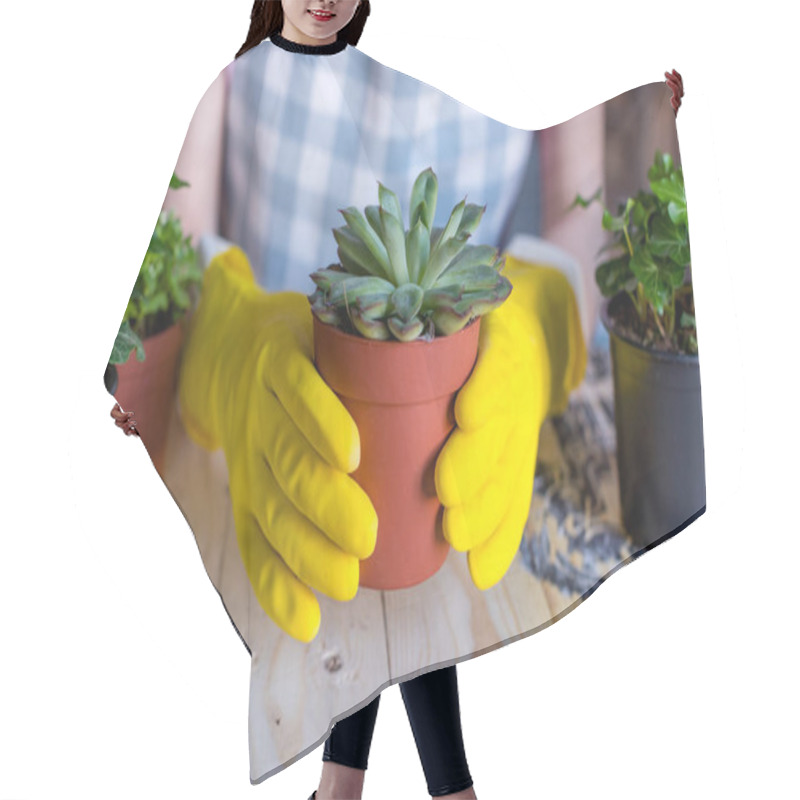 Personality  Woman Holding Plant In Flowerpot Hair Cutting Cape