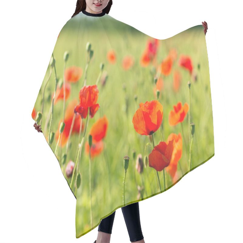 Personality  Summer Blooming Poppy Field Hair Cutting Cape