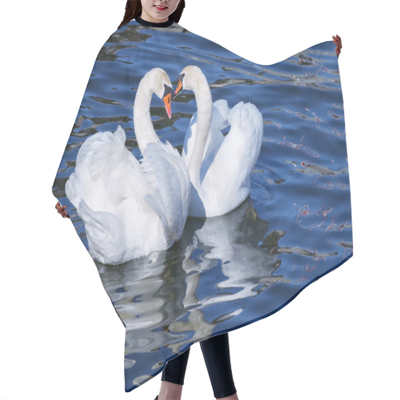 Personality  Lovely White Swan Couple On Blue Water. Hair Cutting Cape