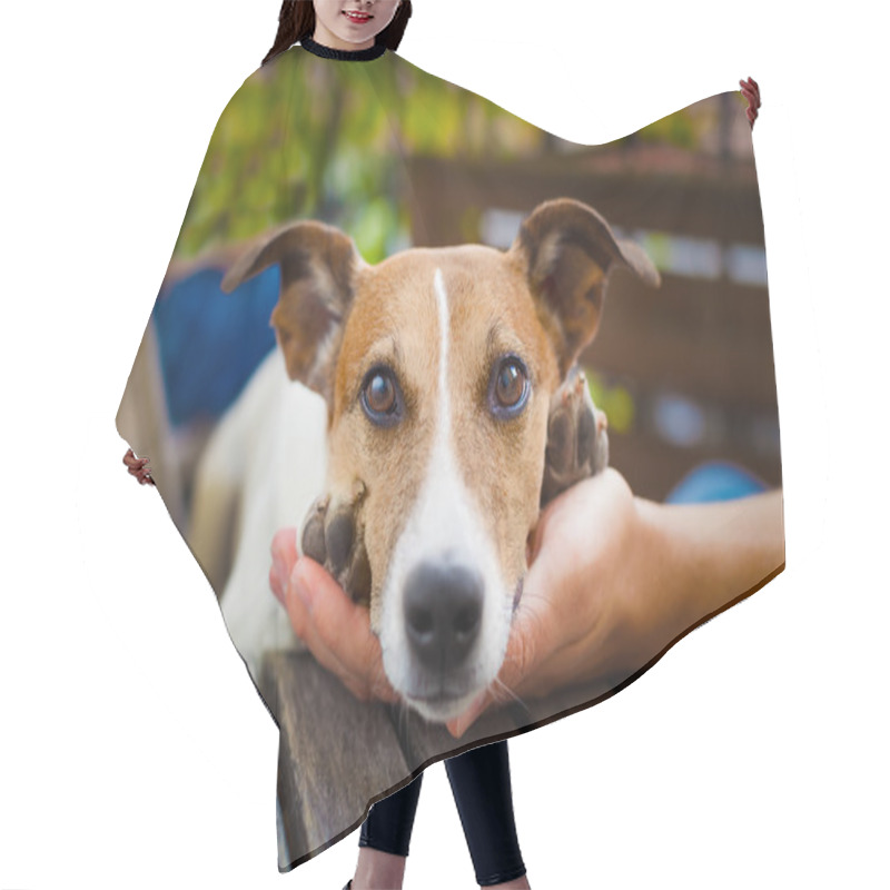 Personality  Owner Petting Dog Hair Cutting Cape