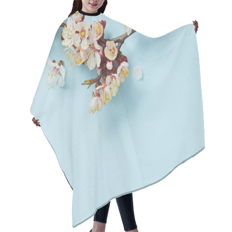 Personality  Close Up Of Tree Branch With Blossoming White Flowers On Light Blue Background Hair Cutting Cape