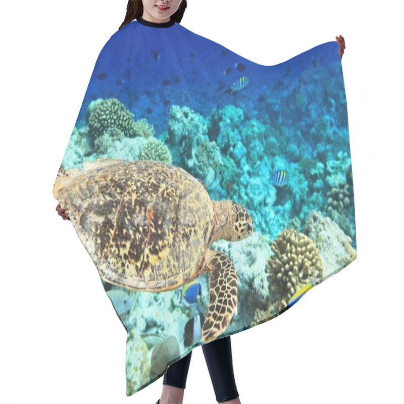 Personality  Sea Turtle Hair Cutting Cape