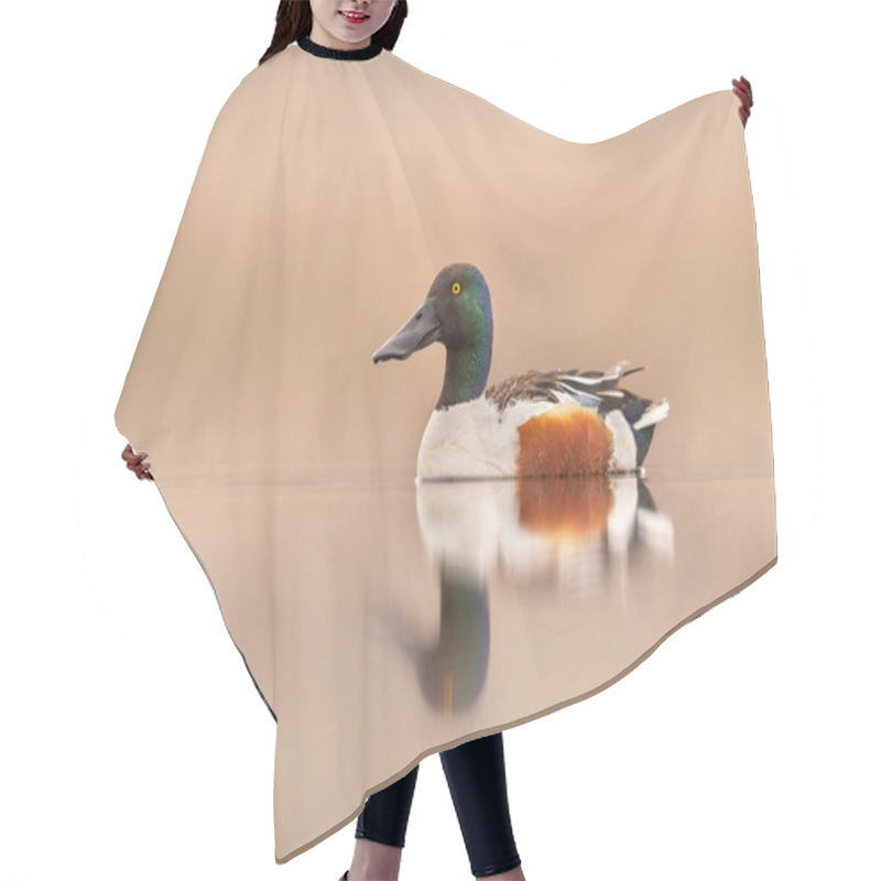 Personality  Northern Shoveler Bird ( Spatula Clypeata ) Hair Cutting Cape