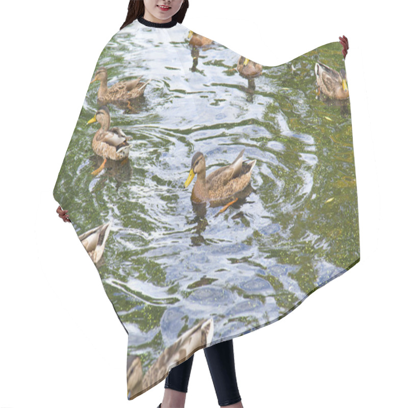 Personality  Duck On The White Background Hair Cutting Cape