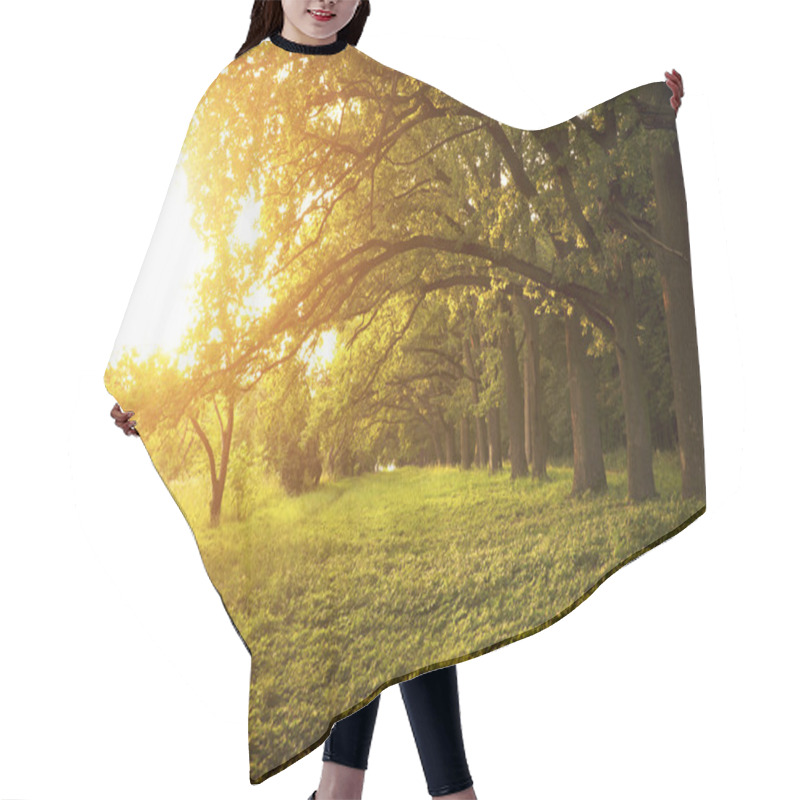 Personality  Avenue Of Oak Hair Cutting Cape