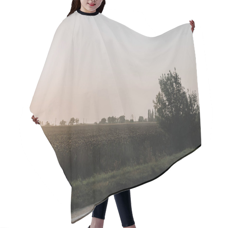 Personality  Scenic View Of Rural Road And Meadow In Countryside  Hair Cutting Cape