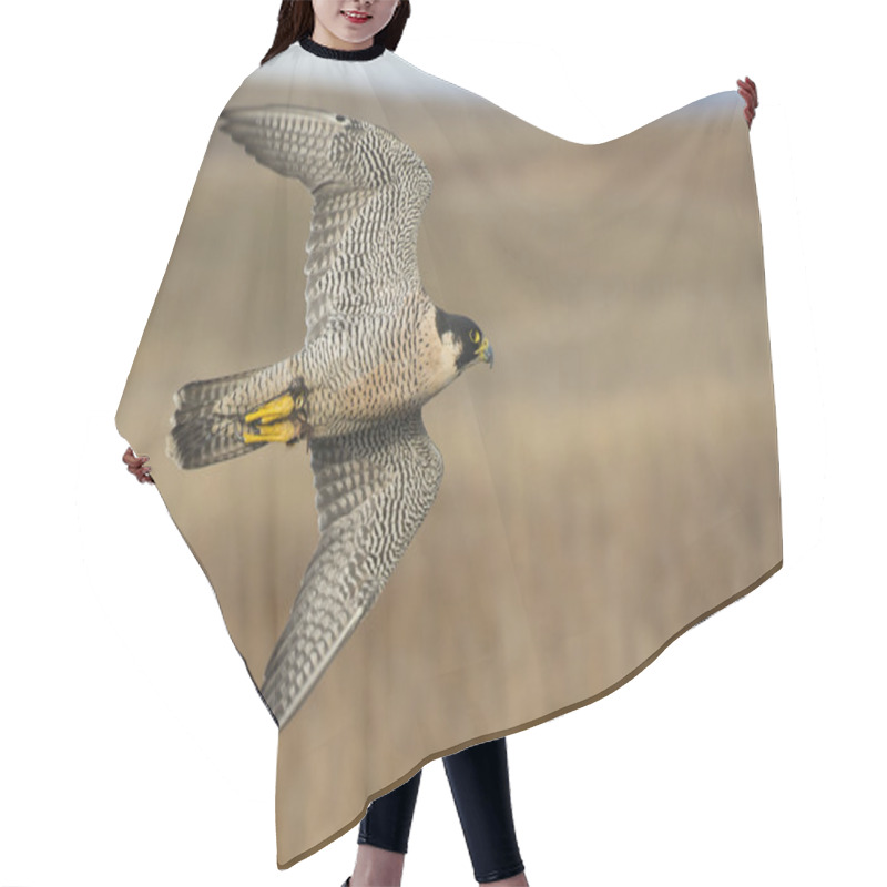 Personality  Flying Peregrine Falcon Hair Cutting Cape