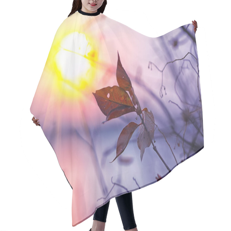 Personality  Dried Foliage On A Background Sunset Hair Cutting Cape