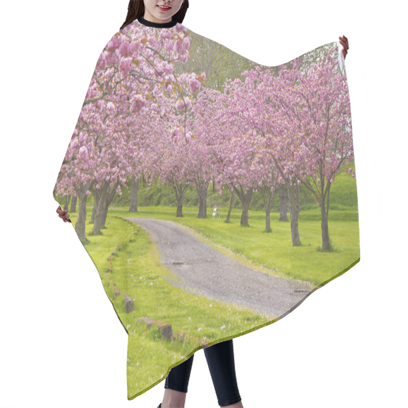 Personality  Spring Blooms Pink Row Trees In A Park. Hair Cutting Cape