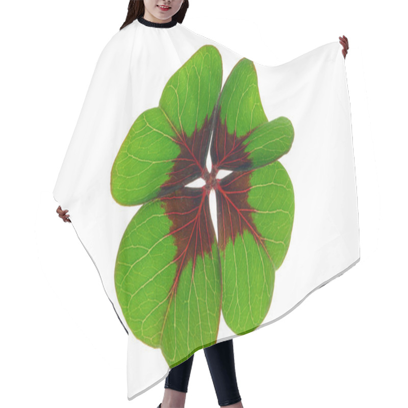 Personality  Glecksklee - Four Leafed Clover 28 Hair Cutting Cape