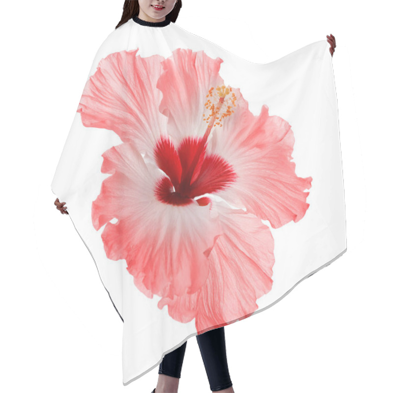 Personality  Beautiful Tropical Hibiscus Flower Isolated On White Hair Cutting Cape