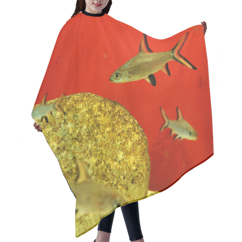 Personality  Aquarium Fish Hair Cutting Cape