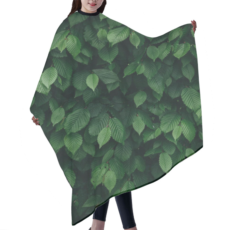 Personality  Closeup View Of Dark Green Natural Bush Leaves Pattern. Vertical Background. Hair Cutting Cape