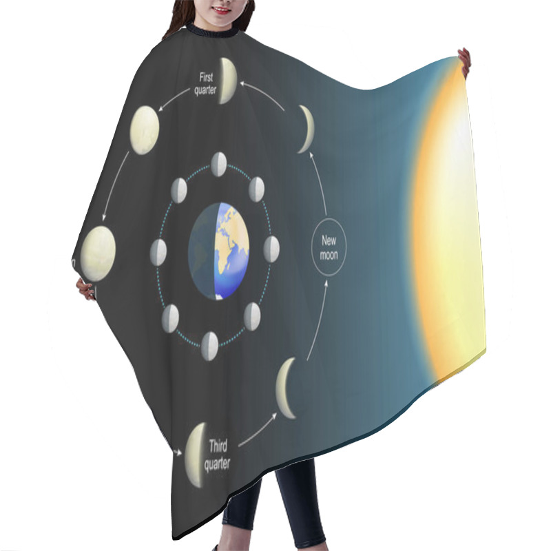 Personality  Lunar Phase. Phases Of The Moon Depends On The Moon's Position In Orbit Around The Earth And Sun. Movements Of The Moon. 8 Lunar Phases. Realistic Vector Illustration Hair Cutting Cape