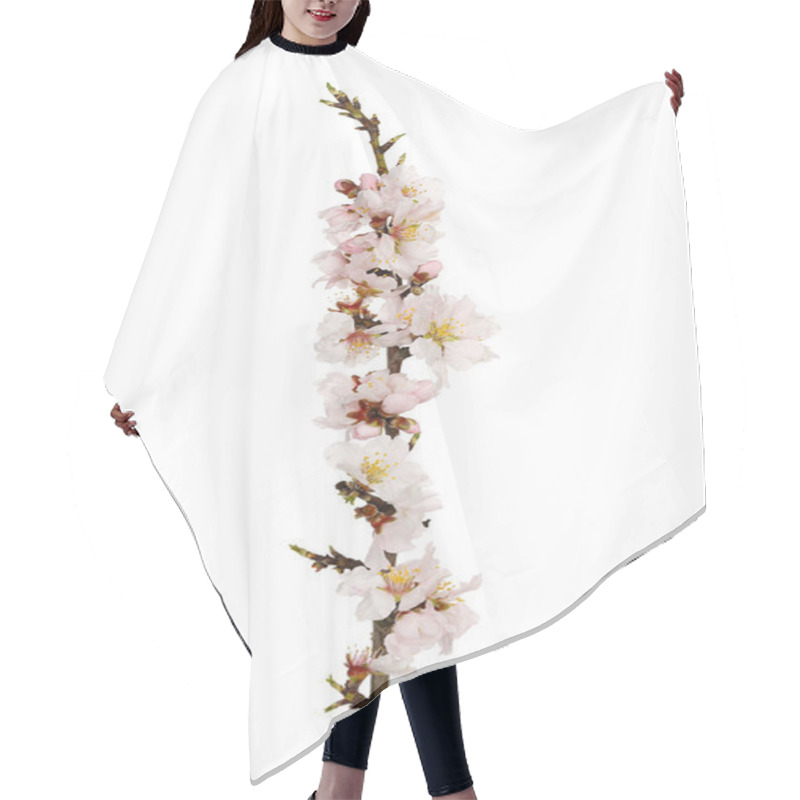 Personality  Almond Tree Twig Hair Cutting Cape