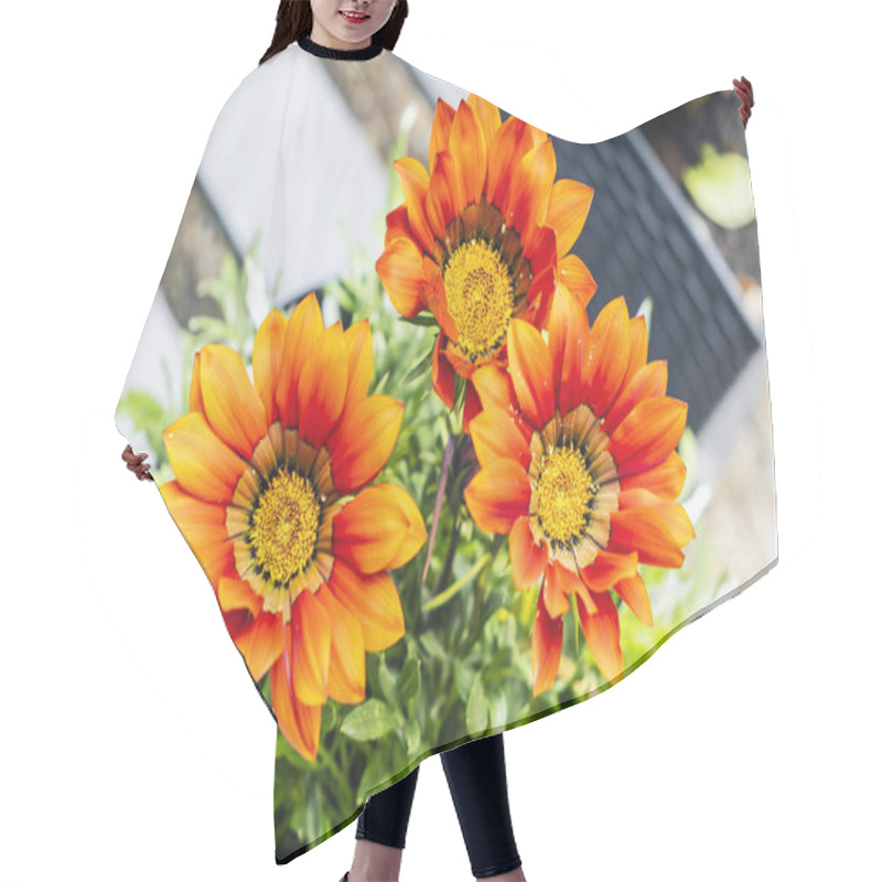 Personality  Red Gazania Flowers, Gardening Theme Hair Cutting Cape