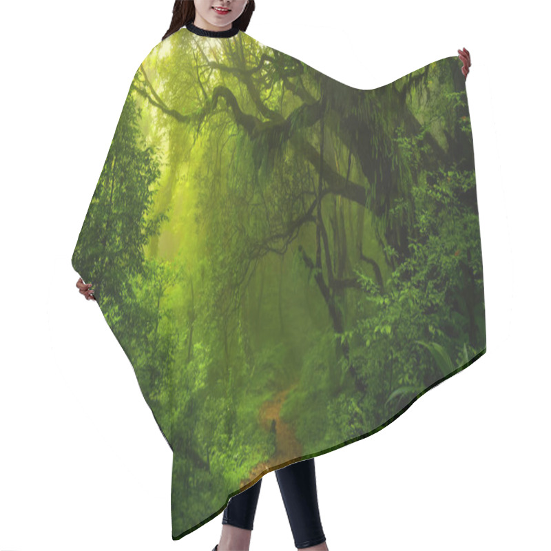 Personality  Tropical Rainforest In Costa Rica Hair Cutting Cape