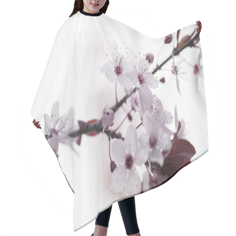 Personality  Focus On Cherry Blossoms For Zen Purity And Springtime Hair Cutting Cape