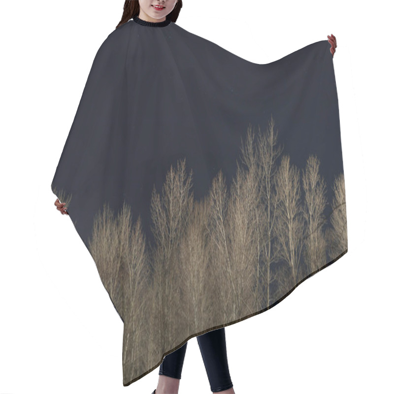 Personality  Treetops With Dry Branches And Clear Dark Night Sky Hair Cutting Cape