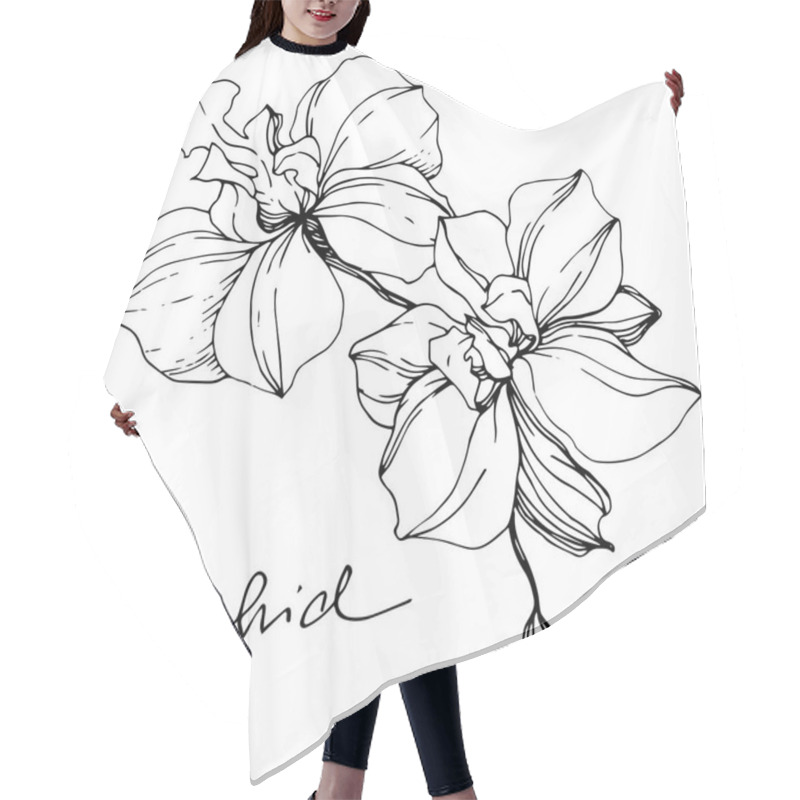 Personality  Vector Monochrome Orchids With Orchid Lettering Isolated On White. Engraved Ink Art. Hair Cutting Cape