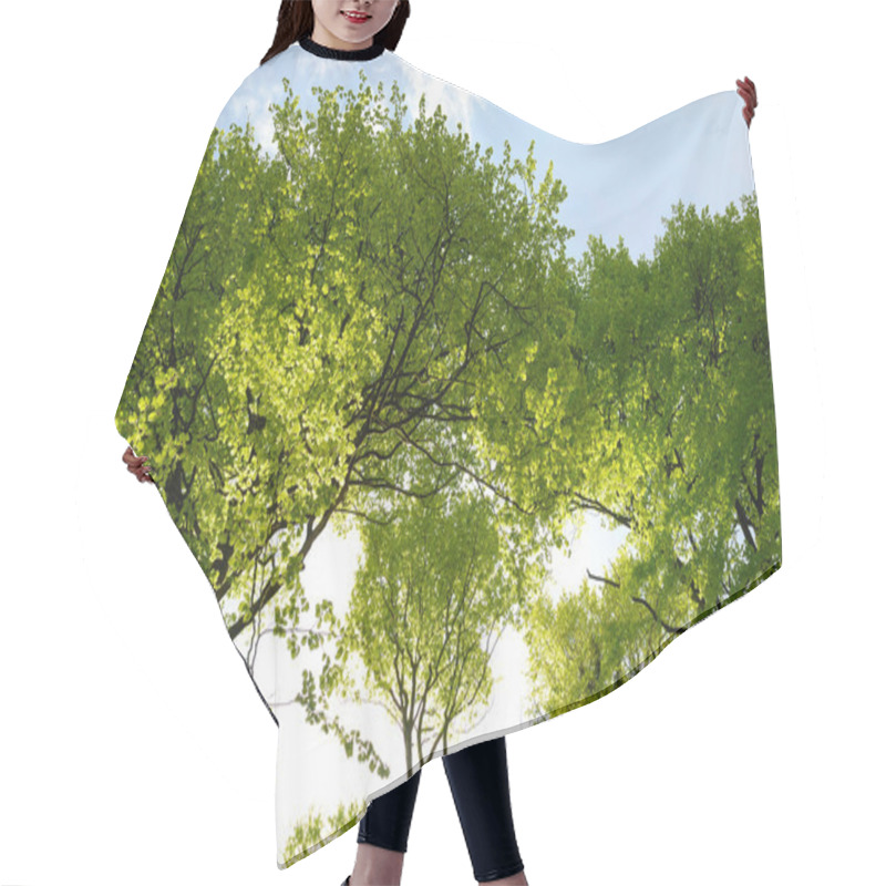 Personality  Spring Woodland Hair Cutting Cape