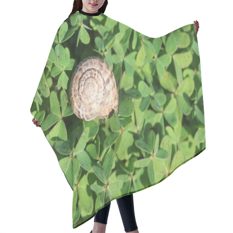 Personality  A Snail On Green Oxalis Pes-caprae Background Hair Cutting Cape