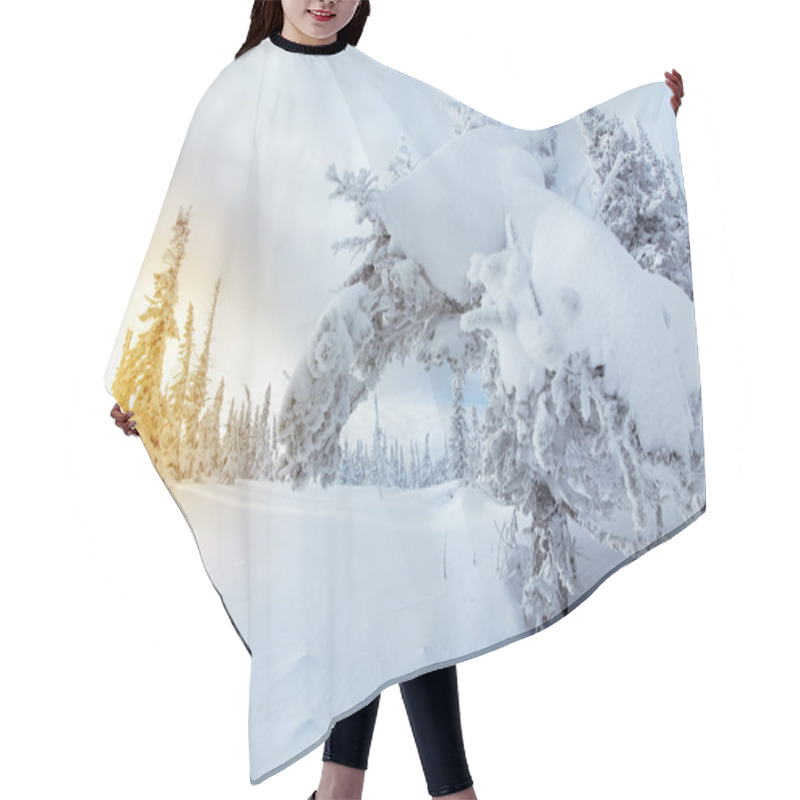 Personality  Winter Landscape With Trees Hair Cutting Cape